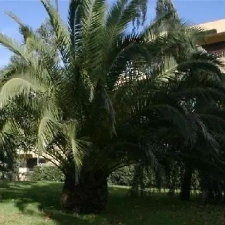 Parcs Du Lavandou 5